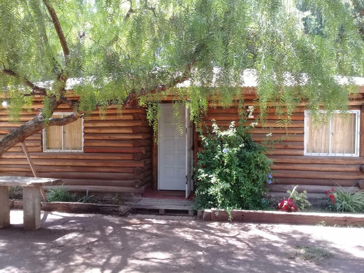 Cabanas Alto Bermejo Villa Mendoza Bagian luar foto