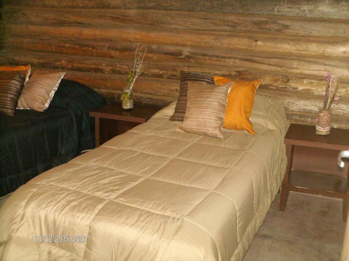 Cabanas Alto Bermejo Villa Mendoza Bagian luar foto
